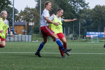 Bild 279 - C-Juniorinnen HSV - Walddoerfer : Ergebnis: 9:1